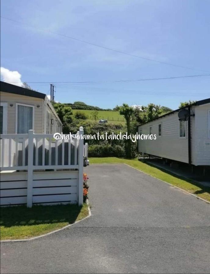Hakuna Matata Holiday Home New Quay Exteriör bild