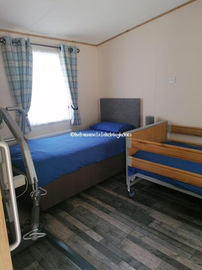 Hakuna Matata Holiday Home New Quay Exteriör bild