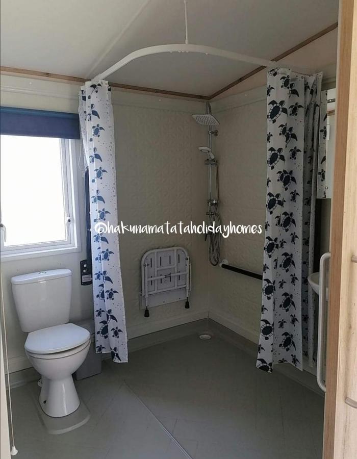 Hakuna Matata Holiday Home New Quay Exteriör bild